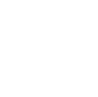Cybersecurity Icon